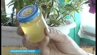 Маточное молочко живое (нативное)