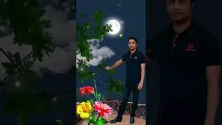 জোসনা রাতে