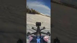This tree needed some trimming // 3PV Drone over Frozen Lake