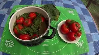 LIGHTLY SALTED TOMATOES, QUICK SALTING.