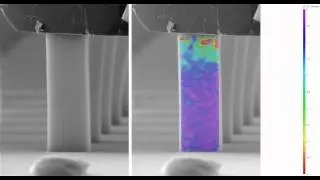 Visualization of strain field during compression of a carbon nanotube micropillar