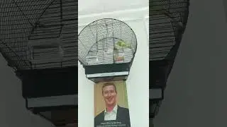 Мактабим