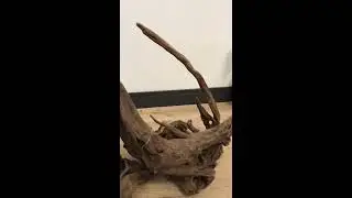 Залипательное видео о сборке и оформлении аквариума😍