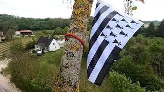 Tyrolienne dans un peuplier robusta
