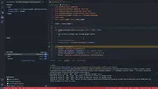 2024年8月 Chrome Driver Manager 錯誤訊息除錯