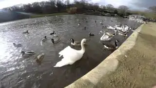 Roundhay Park 2016 Leeds