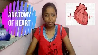 Anatomy of heart | Heart function | Heart beat | How we have a heart attack ? | In Tamil