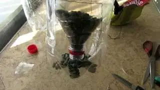 Bird feeders out of plastic bottles