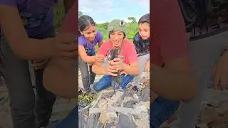 EL PERRITO ABANDONADO 😭 #shorts #viralvideo