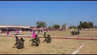 Ssg commando training demo