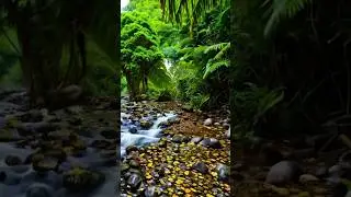 The infinite zoom effect | ai video generator 
