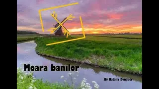 Moara banilor - formulă runică generatoare de bani!!