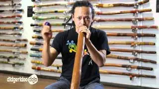 How to Play Didgeridoo with Eggshakers (percussion)
