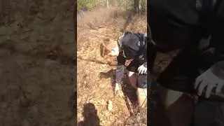 How to find deer antlers 🤣 