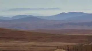Cattle Grazing Important to Merced Vernal Pools and Grassland Natural Reserve