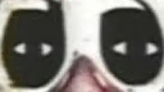 Random memes that i have on my phone.