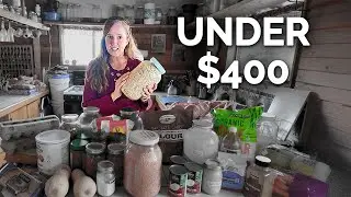 $400 to Stockpile a Month of Healthy Emergency Food For 4