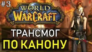 #3 Каноничный трансмог | Трансмогрификация WoW (охотник, монах, шаман) | World of Warcraft