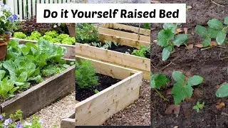 How to  Prepare Raised Bed |Cheap and Easy