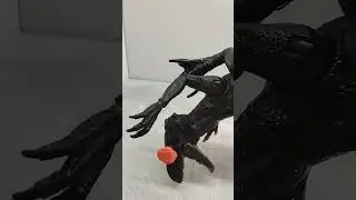 Тупо моя внешность: