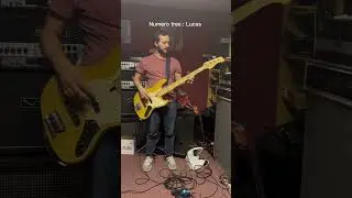 Guess the bassist 👀 #groupe #musique #rock #bass