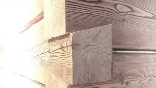 Dovetail log cabin building in the mountains of British Columbia, Canada  #dovetailcabin #cabinbuild