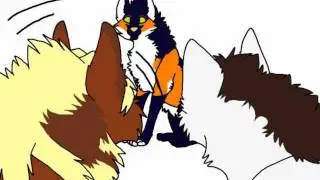MEME X3