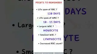 Most important point everyone should know about blood cell #blood #cell #medical #medsparkles #viral