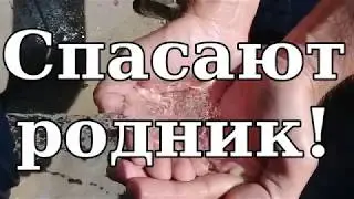 Спасите родник!