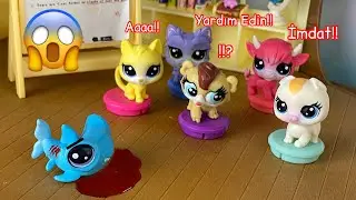 Minişler: Köpekbalığı Miniş!?!