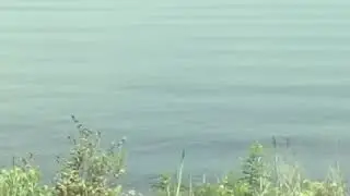 Fishing Shark River Inlet NJ