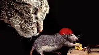 Create Viral Memes free Using Ai || Ai Meme Generator || Meme kaise banta hai