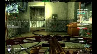 Call of Duty Black Ops - Protect the King mod