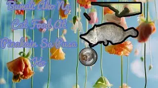 Bumili Ako Ng Cat Food Para Ipakain sa Aking Pusa