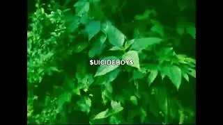 (FREE) $UICIDEBOY$ TYPE BEAT- 
