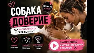 СОБАКА И ДОВЕРИЕ, как расположить к себе собаку? Контак между собакой и человеком