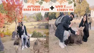 Autumn in Nara Deer Park + Who's Most Likely  | Pinky Zonio