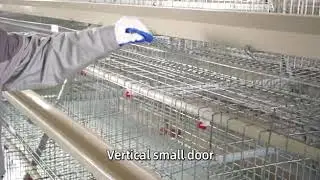 HIGHTOP Layer chicken cage for small farm