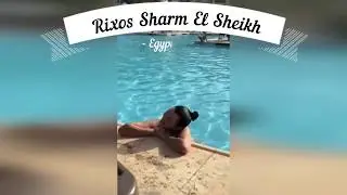 Шарм эль шейх Rixos 