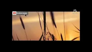 Muzik Vajtuse Ha Moj Jet e Zeza Jet  Super Hitt 2024
