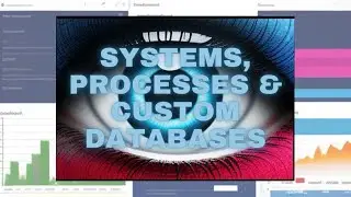 How Systems, Processes, & Custom Databases Can Help Your Business
