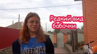 VLOG Что то пошло не так