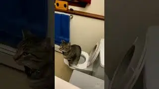 КОГДА ДОЛГО ТЕРПЕЛ
