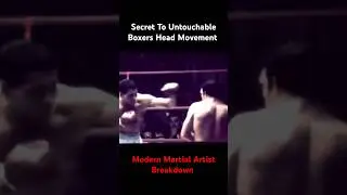Untouchable Boxer's Flawless Defense Explained #boxing #martialarts