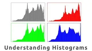 Understanding your Histograms & What they Mean