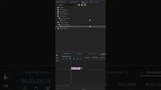 HOW TO CREAT BLURRY TEXT EFFECT #premierepro #tutorial #adobepremierepro