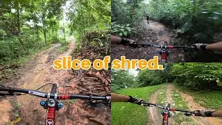 Shredding in the mud | Back to Nature