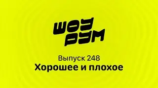 Пчёлы-убийцы существуют! А ещё Nintendo Switch 2 и XCOM 2 / Шоурум 248