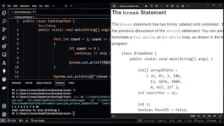 break and continue Statements - Java