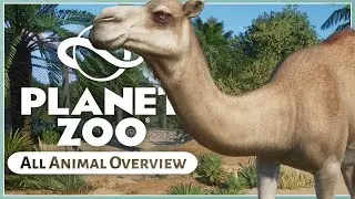 All New Animals! | Planet Zoo Arid Animal Pack